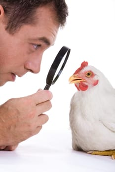 Close-up of observant man holding lens ands looking through it at white hen