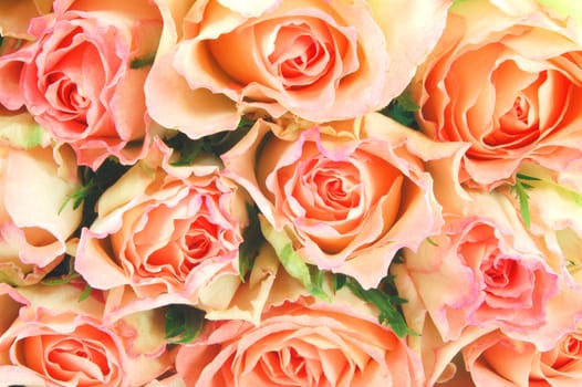roses