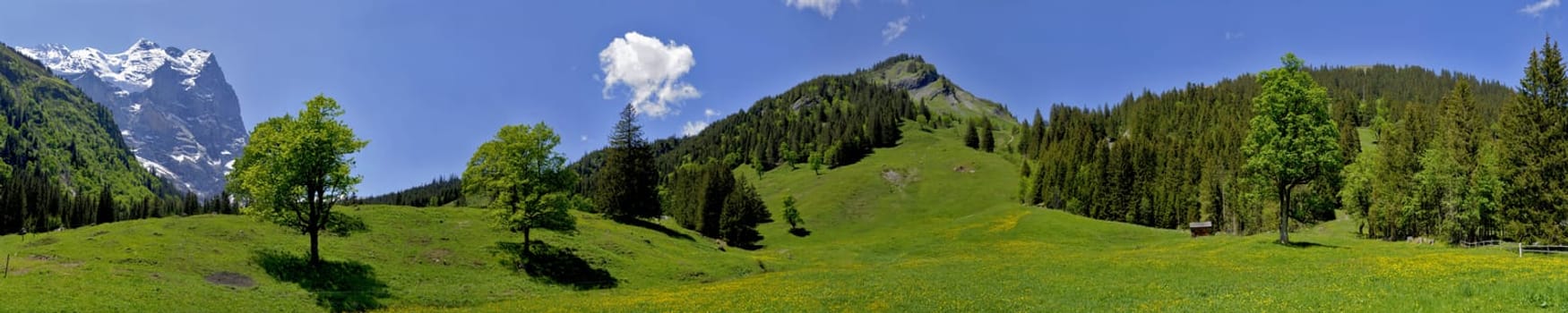 Schwarzwaldalp