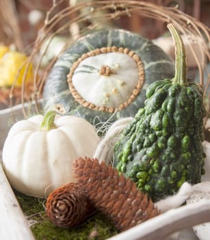 Assorted decorative gourds and some cones arrangement