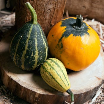 Three different decorative pumpkins on a wooden background