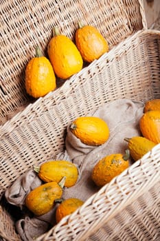 Beautiful arrangement of pumpkins in a box for country style concepts
