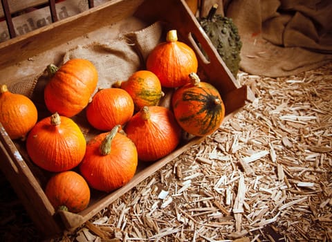 Pumpkins in a crate on a straw background for fall concepts