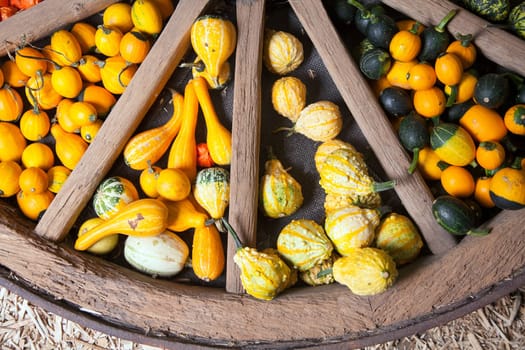Assortment of different decorated pumpkins in a large wooden wheel