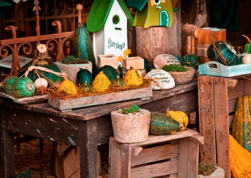 Beautiful autumn arrangement with gardening accessories in fall