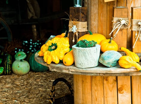 Different Sorts of Pumpkins on a wooden rounded Table for fall concepts