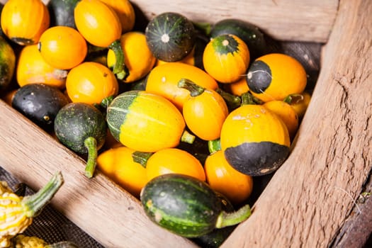 Old Wheel full of different yellow green pumpkins