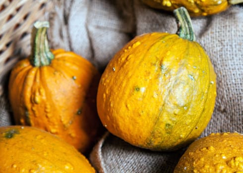 Some yellow Gourds in a crate as a close up