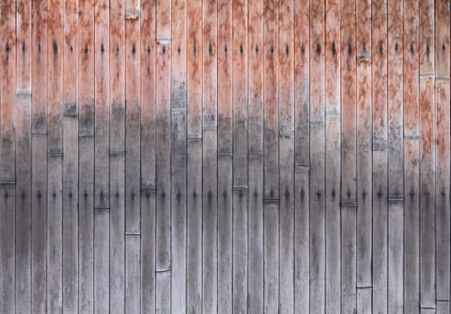 Bamboo background