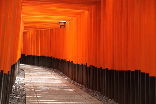 Torii gate tunnel in Kyoto, Japan (Fushimi Inari Taisha Shrine in Kyoto, Japan)