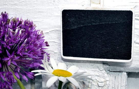 Chalkboard with purple allium flower