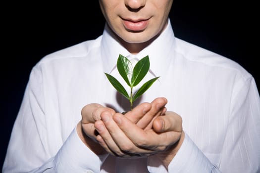 Photo of human hands holding little sprout with care