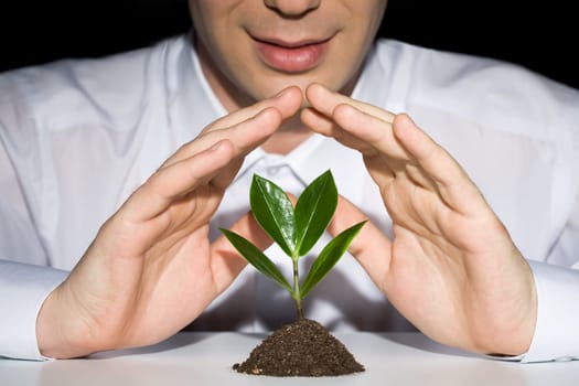 Photo of businessmans hands preserve a young plant