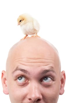 Image of bald male head with a small chick