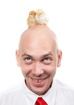 Image of bald male head with two chick