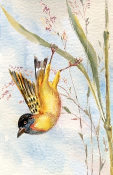 Drawing of a bird on stalk of grass on background of blue sky