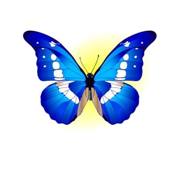 Vector illustration of beautiful blue butterfly