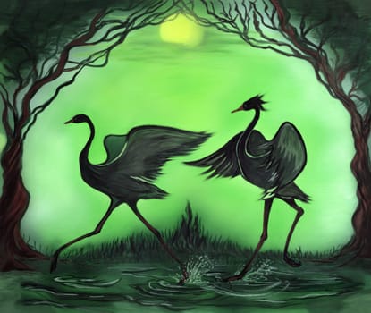 Picture of two black cranes dancing in water at night