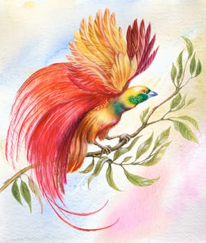 Painting of bright colorful bird with unusual feathers