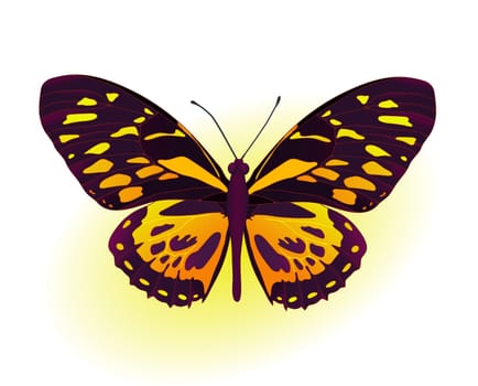 Painting card of beautiful black and yellow butterfly