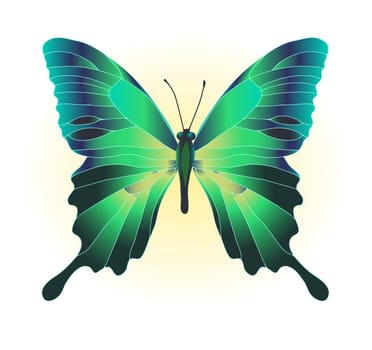 Vector illustration of beautiful green butterfly
