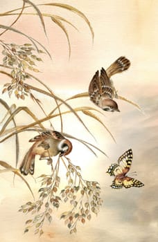 Painting of two sparrows sitting on stems and watching beautiful butterfly at sunrise
