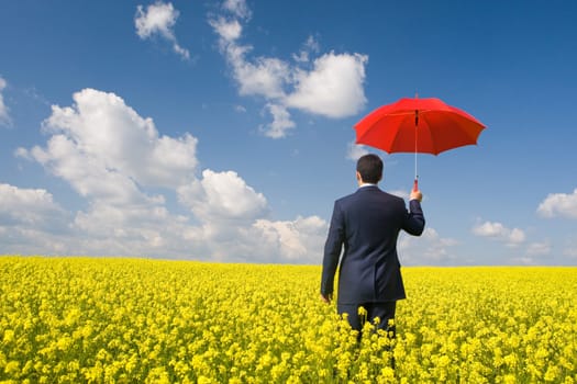 Rear view of businessman with red umbrella walking in yellow meadow