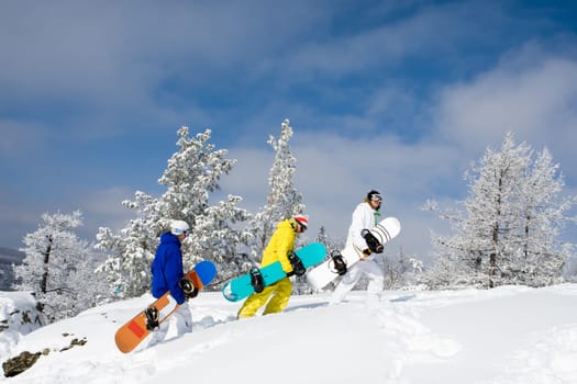 Portrait of group of sportsmen with snowboards walking down snowdrift
