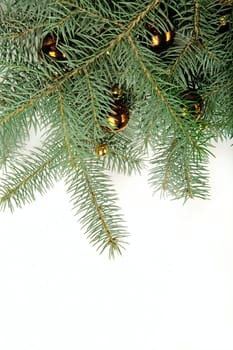 Green twig of fir-tree with christmas yellow balls