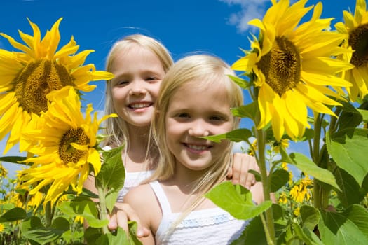 Portrait of cute girls looking at camera in sunflower field on sunny day