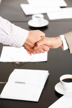 Image of successful partnership of people being confirmed by handshake