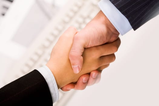 Photo of handshake of business partners after signing promising contract