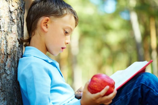 Portrait of smart boy sitting by tree trunk in the park and reading book