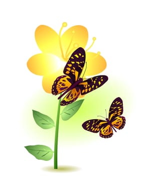 Vector illustration of a yellow flower with two butterflies flying around