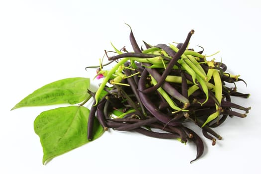 blue and yellow garden beans