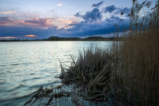 Evening view of the clouds and lake with dry reeds by the shore
