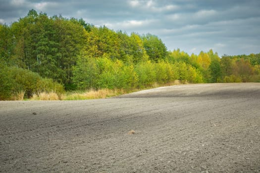 A plowed rural field and an autumn forest, the first days of October