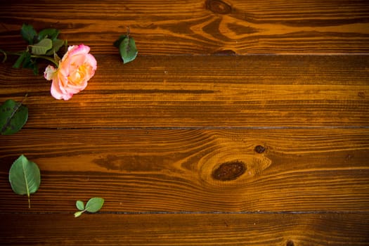 Floral background of pink roses on a dark wooden table