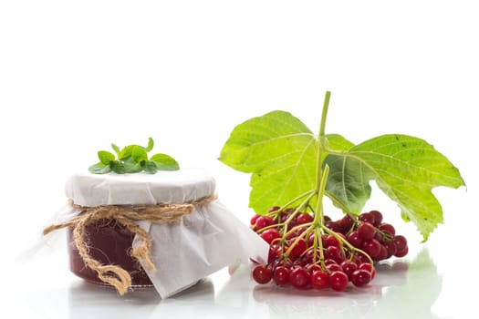 viburnum jam in a glass jar and fresh red viburnum isolated on a white background.