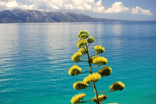 Summer landscape of croatia