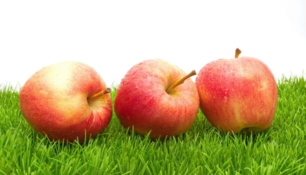 Red Apples on Green Grass - With Copyspace