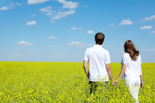 Back view of amorous couple walking in yellow meadow at summer