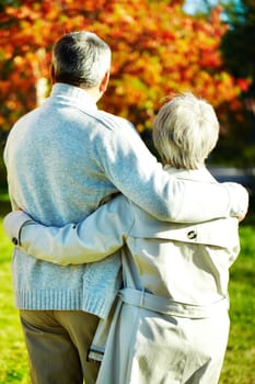 Backs of aged man and woman taking a walk in autumnal park