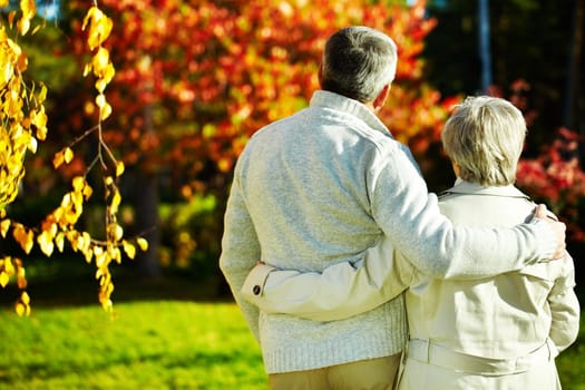 Rear view of aged man and woman taking a walk in autumnal park