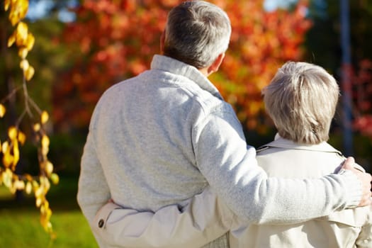 Rear view of aged man and woman in autumnal park