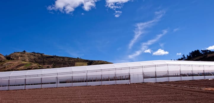 Greenhouses for agriculture production in the Andes in Ecuador
