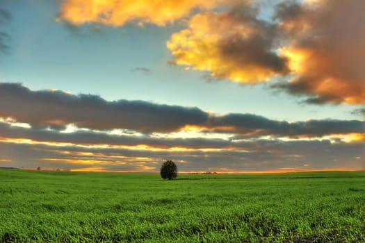 An image of green field under the dramatic sky