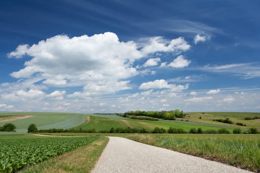 Landscape with road,traffic route without car in nature