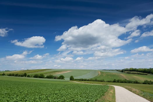 Landscape with road,traffic route without car in nature