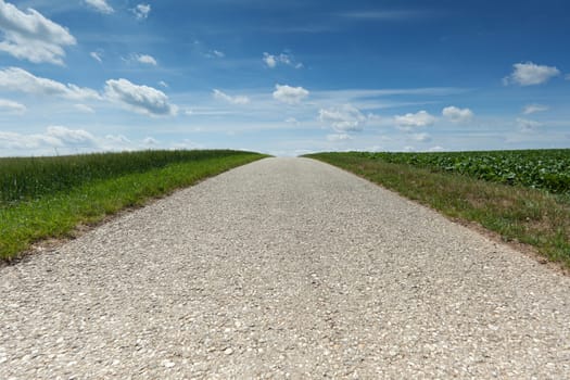 Landscape with road,traffic route without car in nature